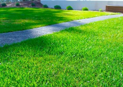 Landscape Maintenance